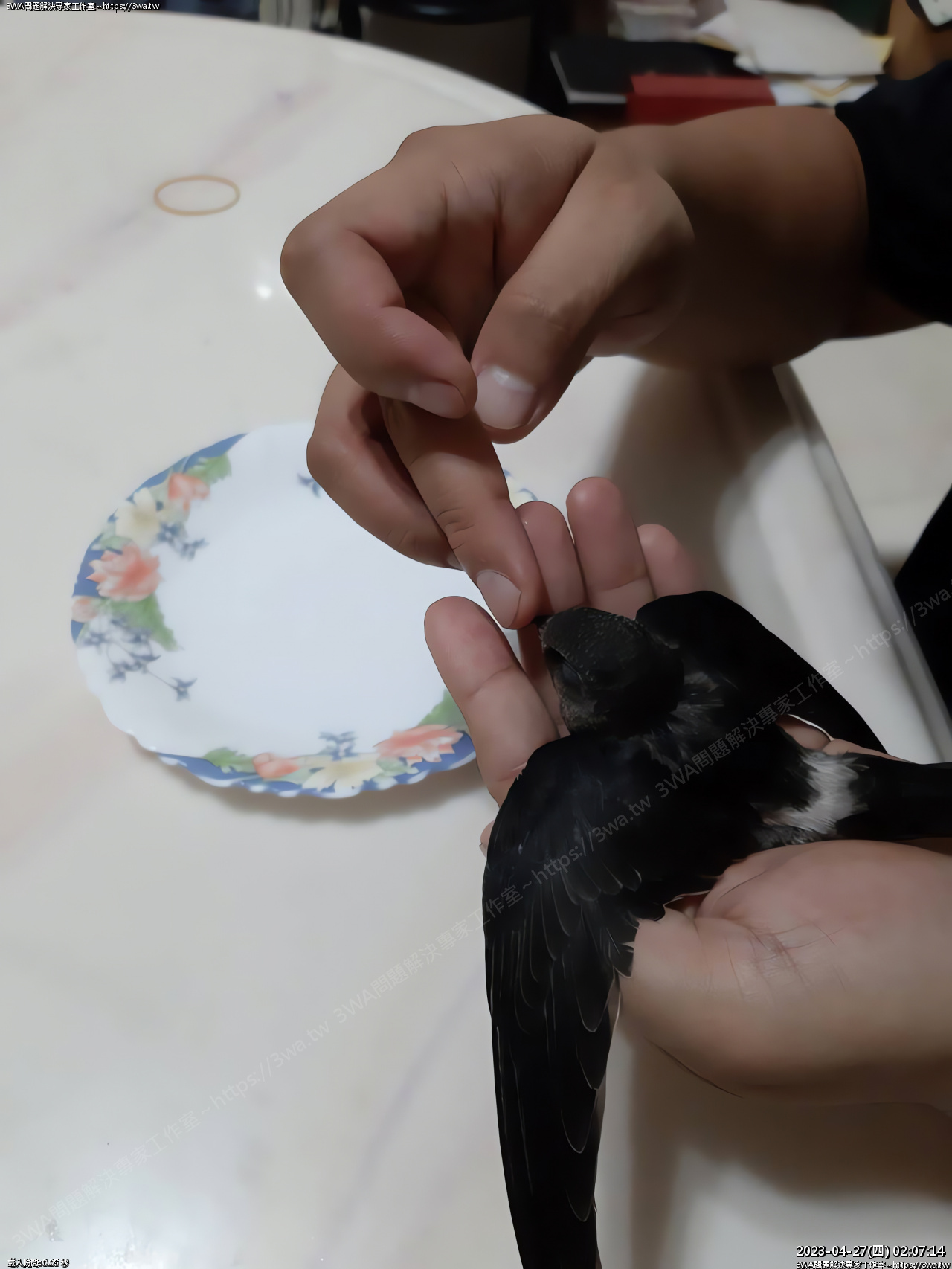 //www.3wa.tw/photo/small.php?w_size=1280&compassion=95&file_name=users/shadow/1624028396_2_ai.jpg