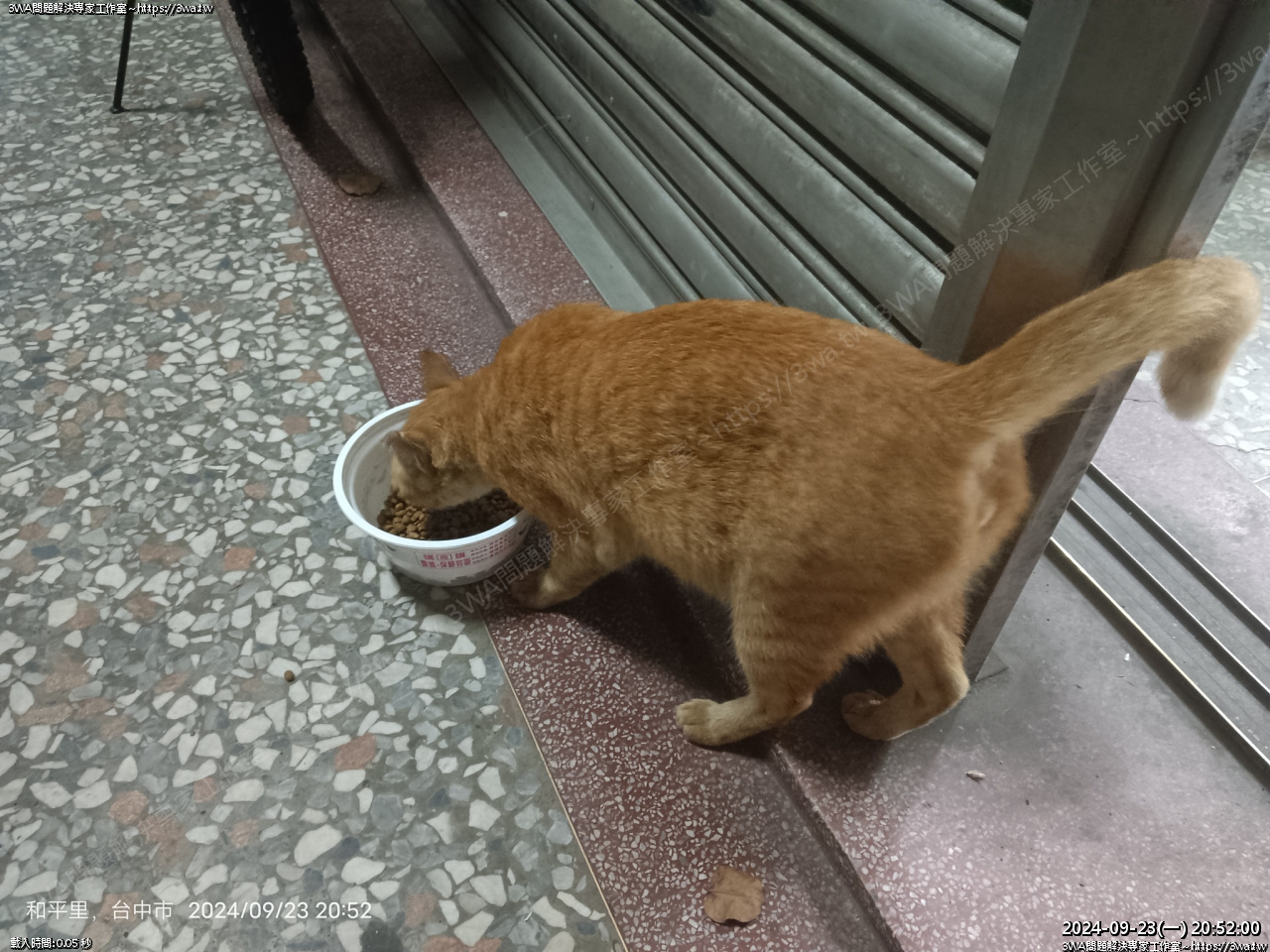 //www.3wa.tw/photo/small.php?w_size=1280&compassion=95&file_name=users/shadow/1727105762.jpg