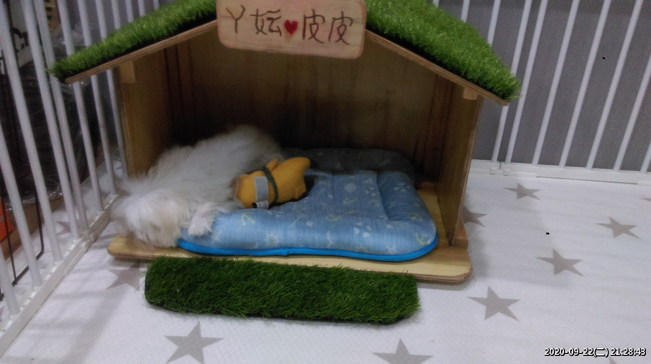 //www.3wa.tw/photo/small.php?w_size=1280&compassion=95&file_name=users/shadow/1600783921_2.jpg&noshow=1&height=400