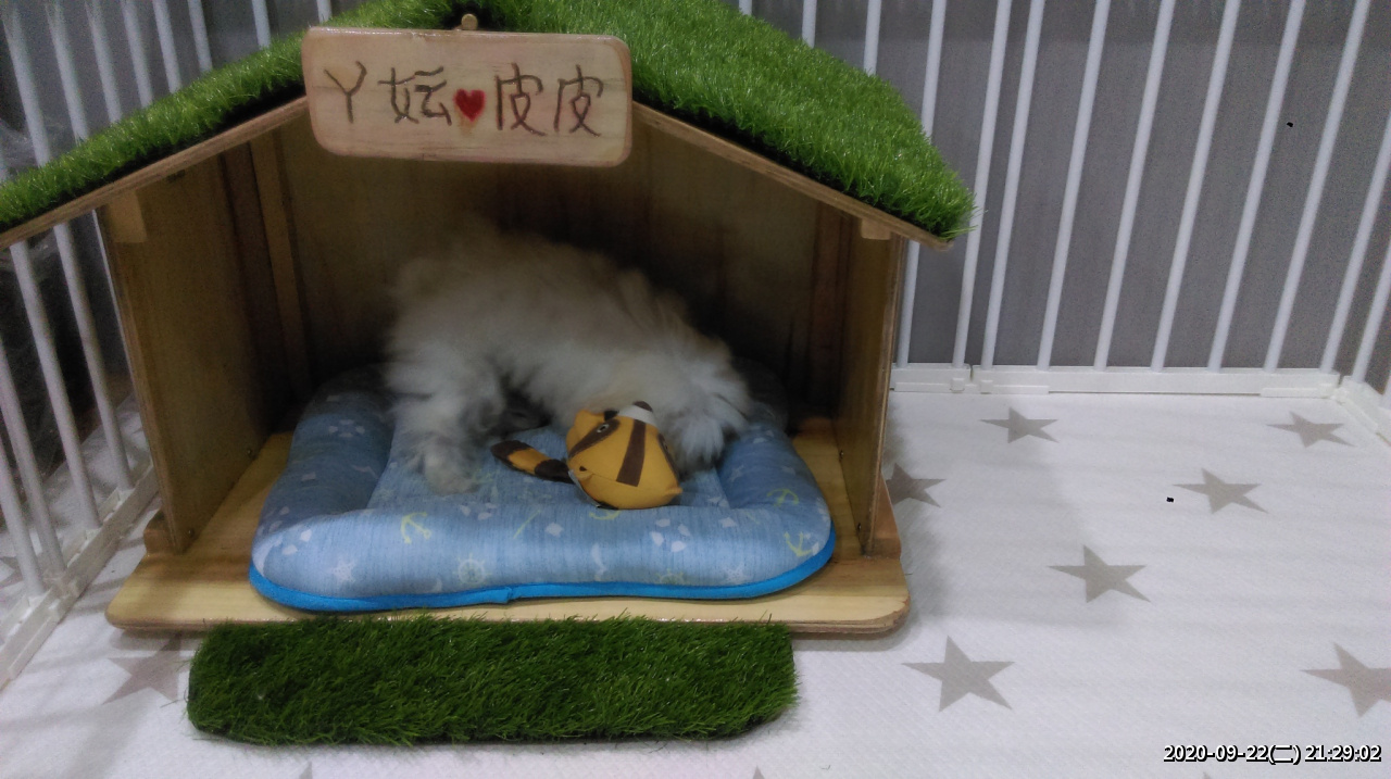 //www.3wa.tw/photo/small.php?w_size=1280&compassion=95&file_name=users/shadow/1600783923_4.jpg&noshow=1&height=400