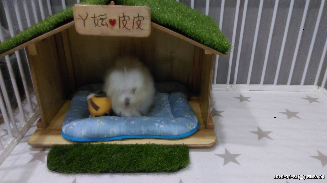 //www.3wa.tw/photo/small.php?w_size=1280&compassion=95&file_name=users/shadow/1600783923_5.jpg&noshow=1&height=400