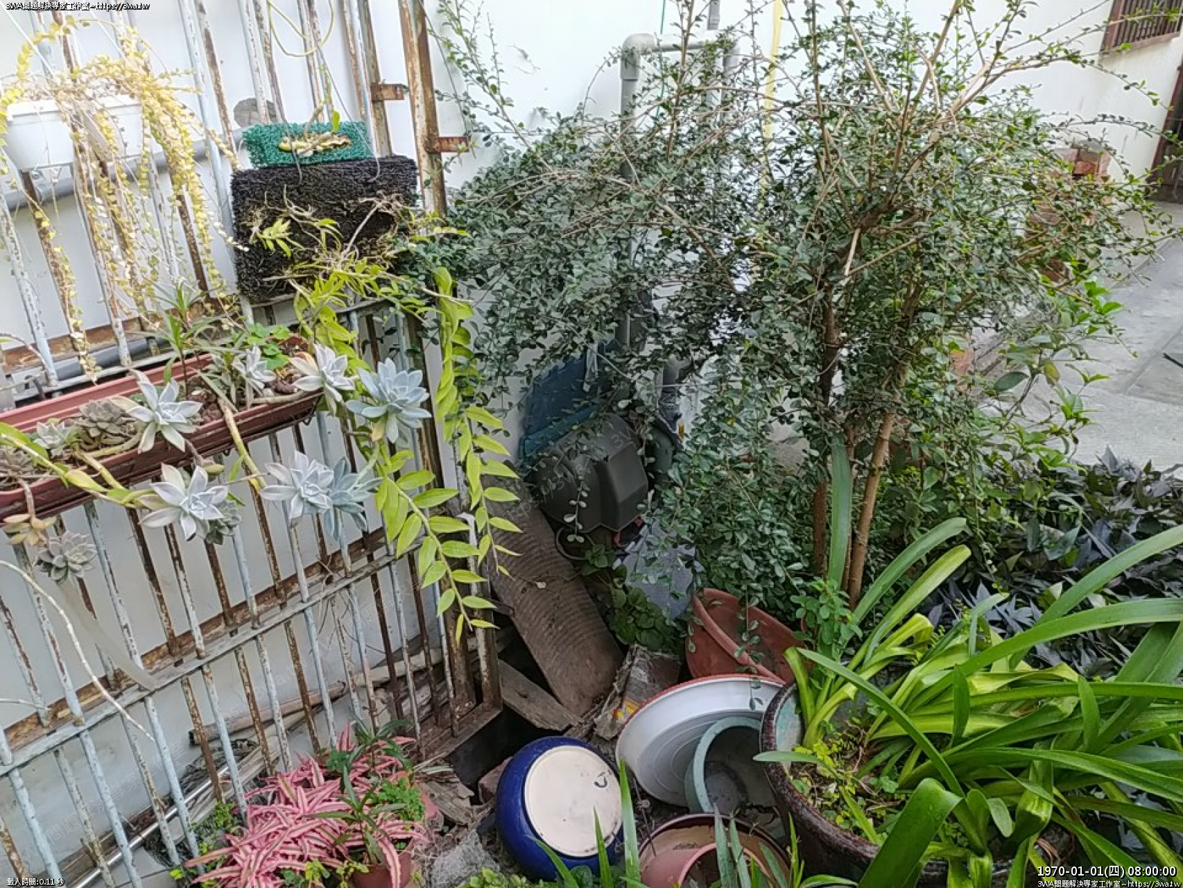 //www.3wa.tw/photo/small.php?w_size=1280&compassion=95&file_name=users/shadow/1674296618.jpg&rotate=90