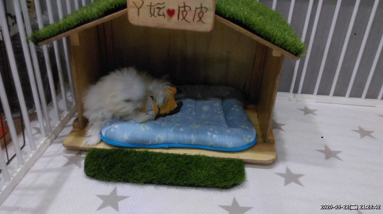 //www.3wa.tw/photo/small.php?w_size=1280&compassion=95&file_name=users/shadow/1600783919_1.jpg&noshow=1&height=400